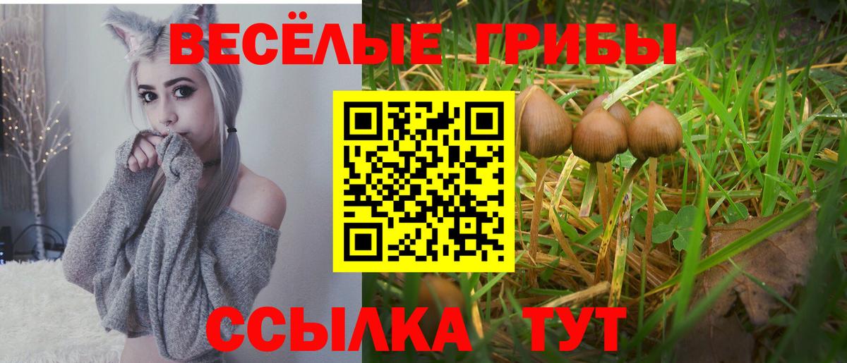 Псилоцибиновые грибы MAGIC MUSHROOMS  Вход с VPN  Сорочинск  Галлюциногенные грибы ЛСД 