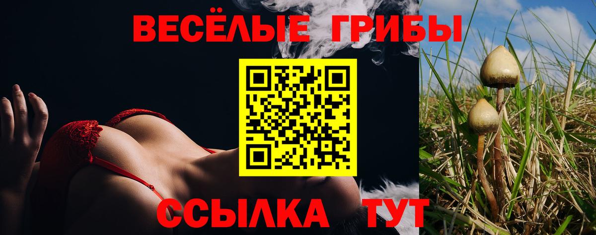 Псилоцибиновые грибы мицелий Сорочинск